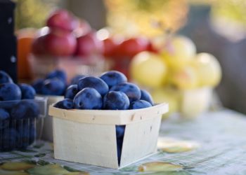 Prugne: fresche o secche aiutano l’intestino a restare in forma.