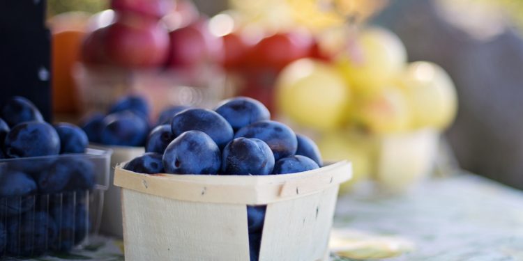 Prugne: fresche o secche aiutano l’intestino a restare in forma.