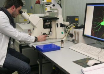 Pnrr: Mur, pubblicati i primi decreti per 7.500 borse di dottorato