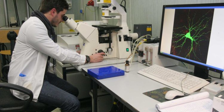 Pnrr: Mur, pubblicati i primi decreti per 7.500 borse di dottorato