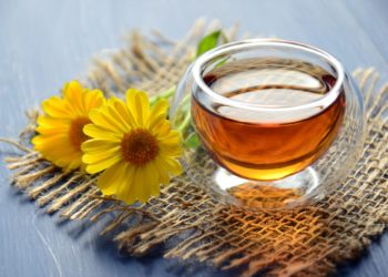 8 tisane che ti aiuteranno a perdere peso