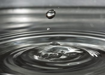 Lo sai che puoi recuperare un portatile caduto in acqua?